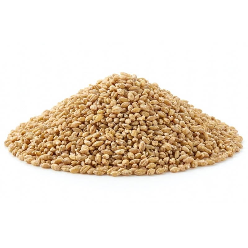 بلغور جو فله اطلس وزن 25 کیلوگرمی (1 گونی)