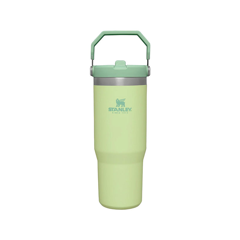 ماگ نی دار استنلی مدل Flip Straw tumbler 880 ml